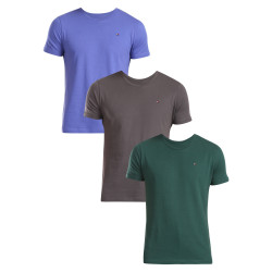 3PACK Herren T-Shirt Tommy Hilfiger mehrfarbig (UM0UM03379 0UI)