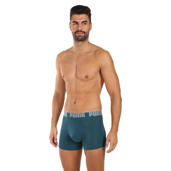 2PACK Herren Klassische Boxershorts Puma mehrfarbig (701228129 002)