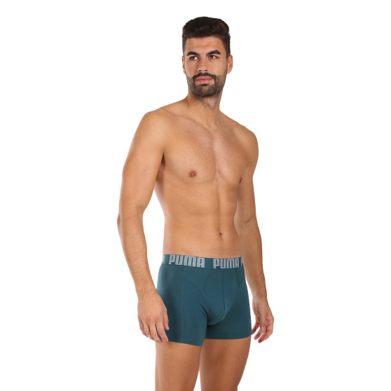 2PACK Herren Klassische Boxershorts Puma mehrfarbig (701228129 002)