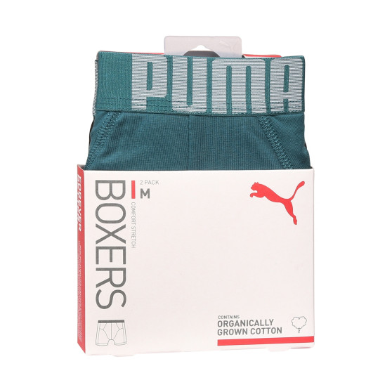 2PACK Herren Klassische Boxershorts Puma mehrfarbig (701228129 002)