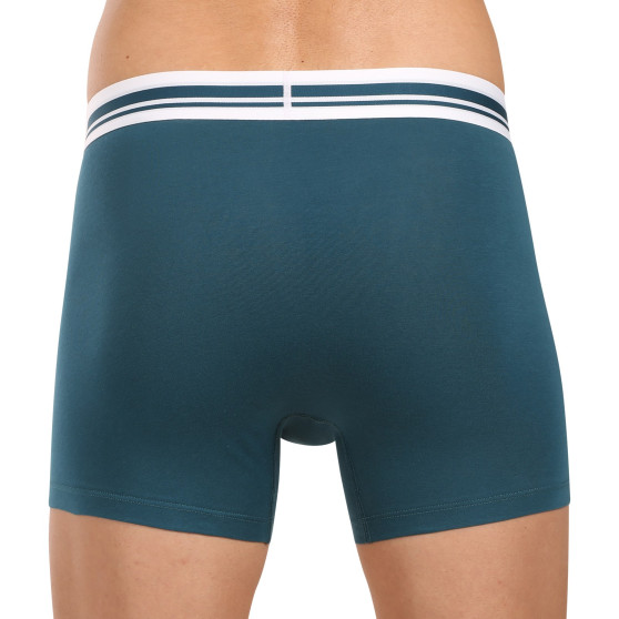 2PACK Herren Klassische Boxershorts Puma mehrfarbig (701226763 011)