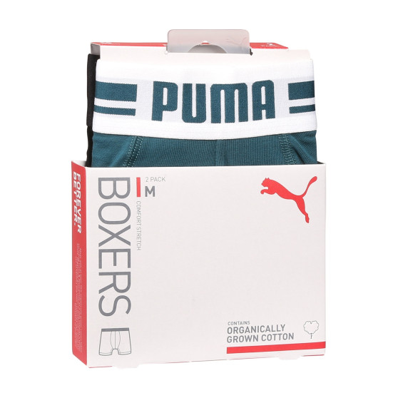 2PACK Herren Klassische Boxershorts Puma mehrfarbig (701226763 011)